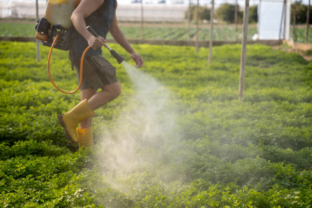 Best Commercial Pest Control Services  in Westlake Corner, VA