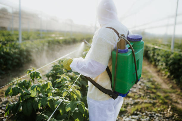 Wasp Removal Services in Westlake Corner, VA